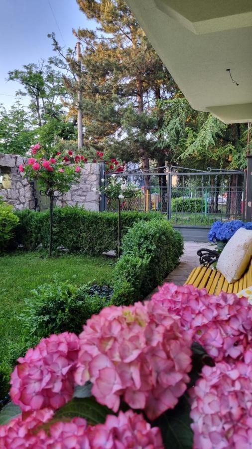 Apartman L&M Cetinje Eksteriør bilde