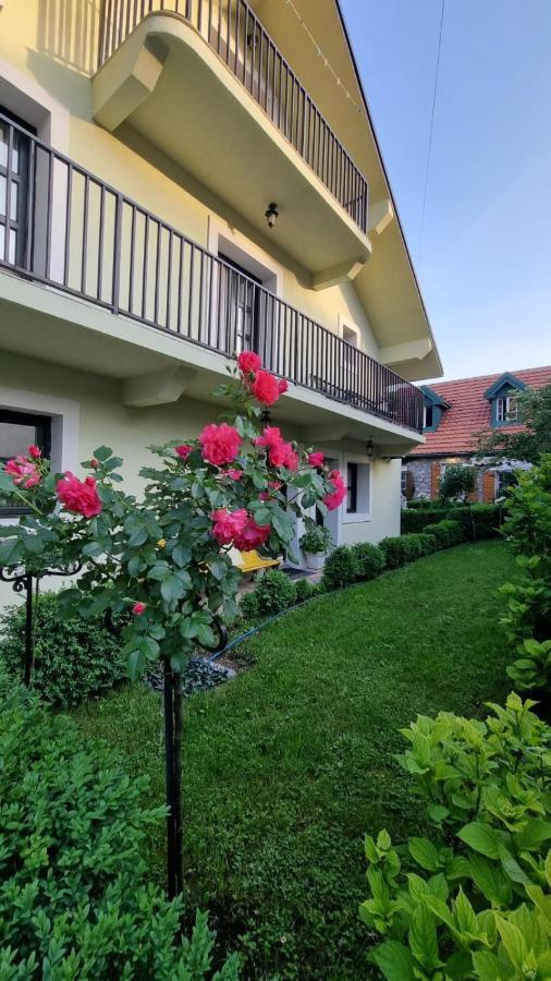 Apartman L&M Cetinje Eksteriør bilde